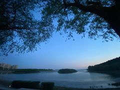 -丁香湖公园