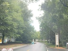 -苏州湾体育公园