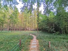 -河南省黄河迎宾馆