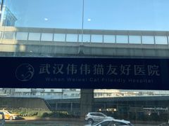 -伟伟宠物医院·瑞派猫友好医院·猫科(光谷店)