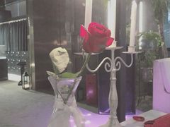 餐具摆设-Bo Lounge & BOA Club