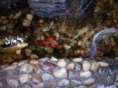 -赶海部落海鲜城(海阳路店)