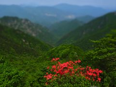 -东天目山风景区