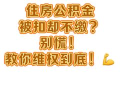 -华勤基信·至法律师团队