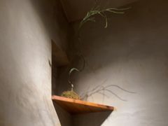 -陶享时光西餐·下午茶(信河街店)