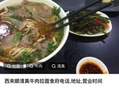 -陈至马正宗兰州牛肉面(韩乐坊店)