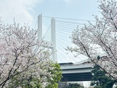 -上海南浦大桥长途旅游客运站