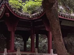 -杭州黄龙洞