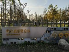 -前小桔亲子创意农场·草莓采摘·露营烧烤