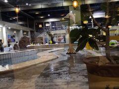 -九龙湾温泉汗蒸时代