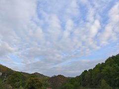 -木兰云雾山