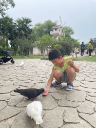 -玄武湖景区-情侣园游乐场