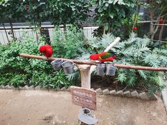 -南宫五洲植物乐园