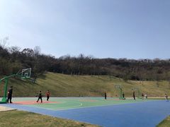 -羊山湖公园
