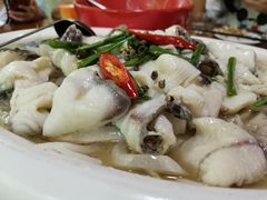 -杨厝六十六农庄农舍(杨厝路店)