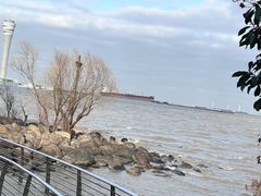 -上海吴淞炮台湾国家湿地公园