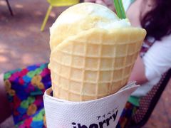iphone_upload_pic-莓园冰淇淋店
