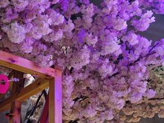 -游园觅食记夜市·小龙虾大排档