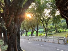 -阿婉贵州苗家酸汤鱼(梅林店)