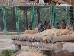 -上海野生动物园