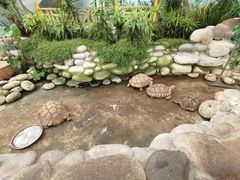 -南宫五洲植物乐园