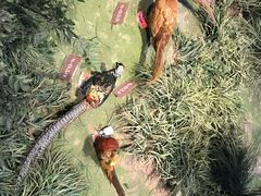 -陕西自然博物馆