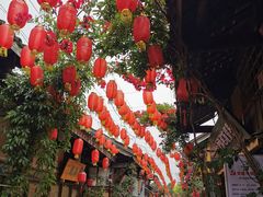 -太平张醪糟(西街直营店)