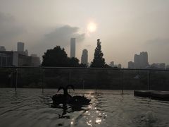 -行者书屋大堂吧 ·下午茶(南京圣和府邸酒店)