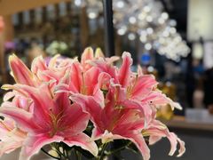 -四季餐厅·新津菜(环湖中路店)