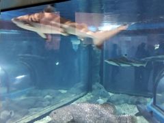 -福州罗源湾海洋世界旅游区