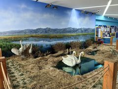 -延庆地质公园博物馆