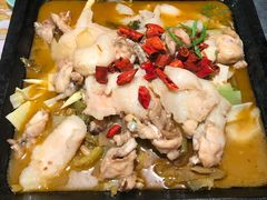 炭火干锅牛蛙+龙利鱼（酸汤味-炭舍干锅·烤鱼(扬名广场店)