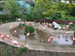 -大连森林动物园