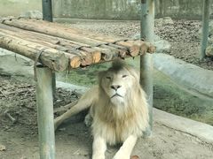 -成都动物园