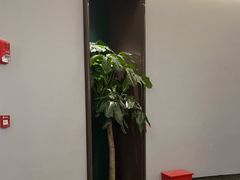 -东荟轩
