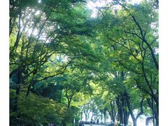 -青龙山国家森林公园