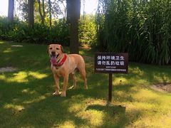 -上海长兴岛郊野公园