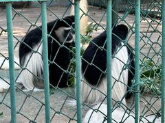 -秦皇岛野生动物园