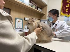 -谐和益家动物医院·免疫绝育·血液透析·宠保定点医院(高新伊藤分院)
