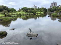 -水前寺成趣园