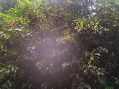 -扬州瘦西湖汇金酒店