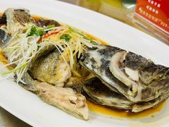 -老磨油饼(高陵店)