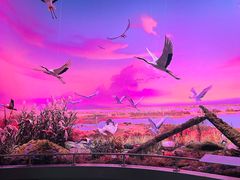 -中国湿地博物馆