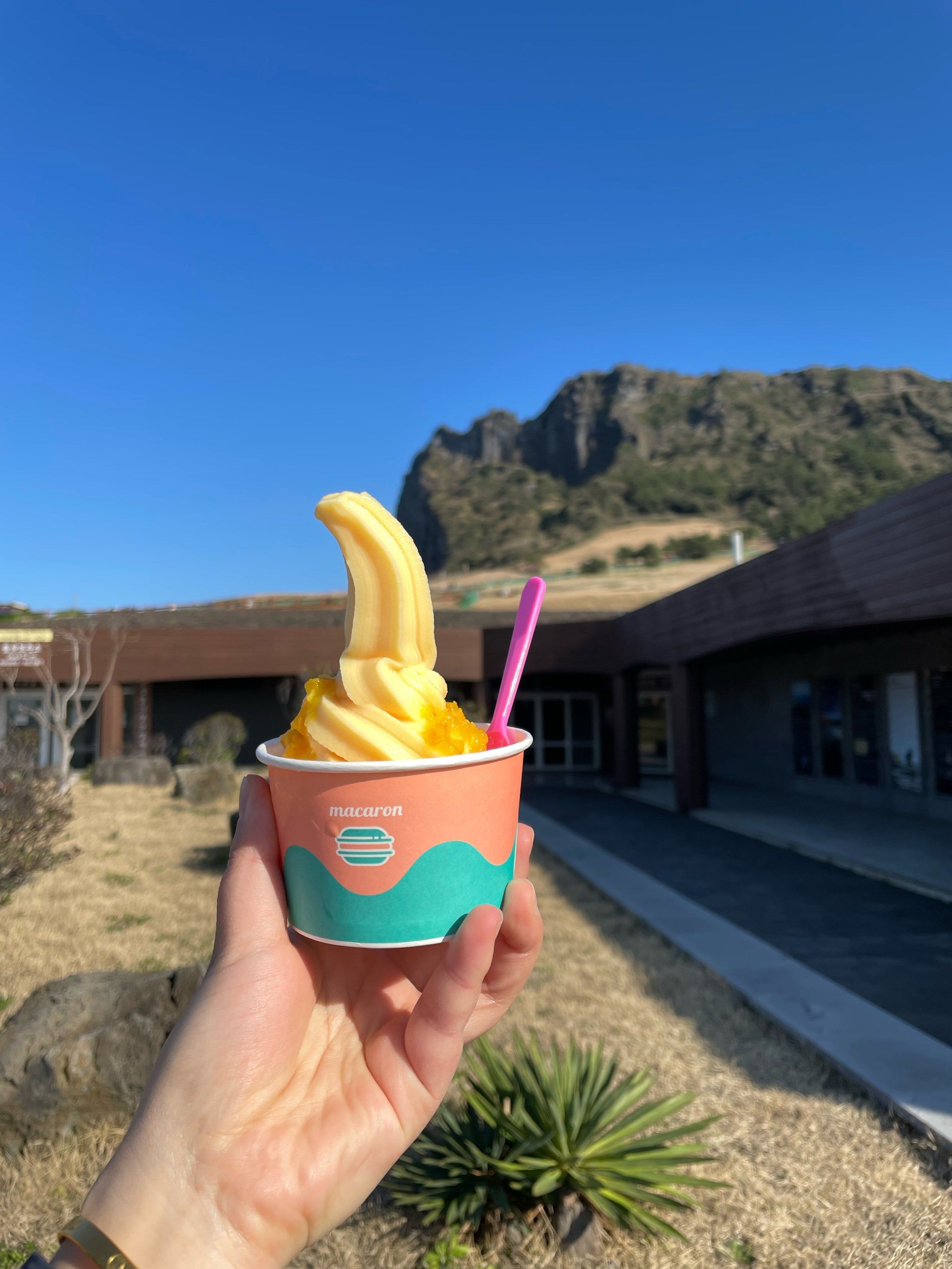 这个橘子冰淇淋太好吃了吧