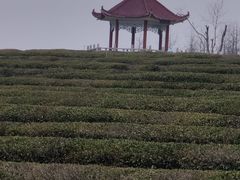 -凤凰沟景区