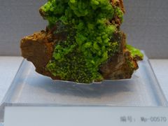 -湖南省地质博物馆