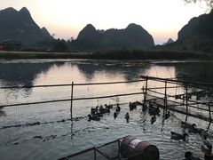 -靖西鹅泉风景区