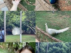 -昆明动物园