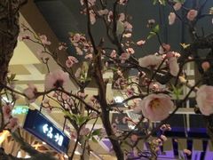 -剪刀石头布家居广场