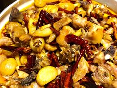 -志晖园圆子鸡·辣子鸡(阳光店)
